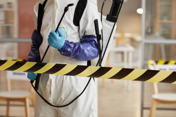 Professional Sewage Cleanup technician working in Robstown, TX